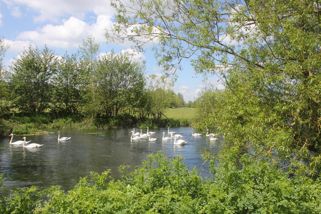 מלון Stapleford  The Swan At Stoford מראה חיצוני תמונה